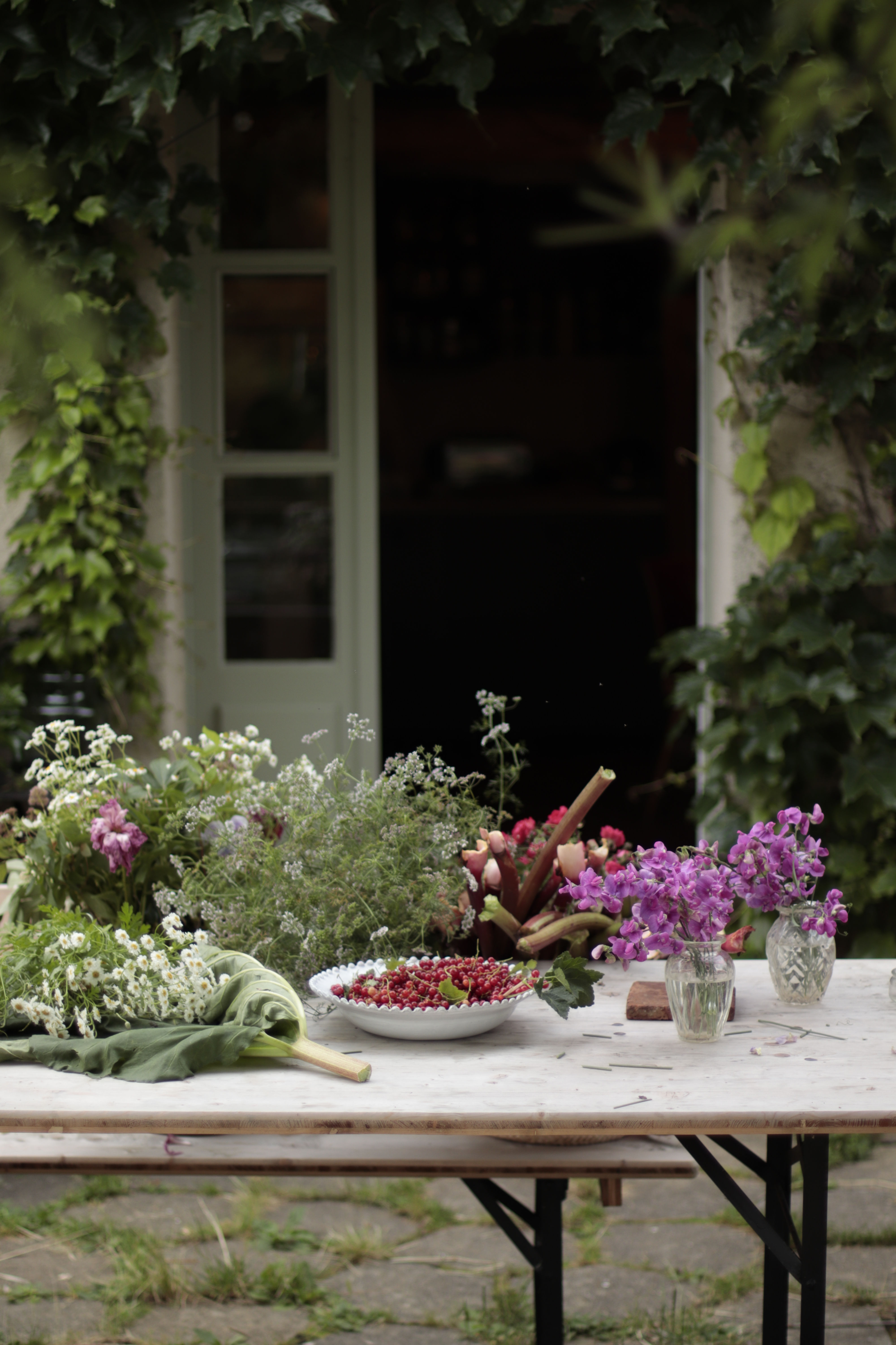 Atelier Abondances samedi 1er juillet 2023 : fleurs et plantes comestibles