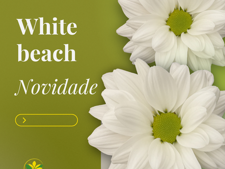 *novidade* White beach