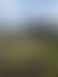 Be Part of the Vision. Build the Future.