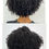 Thumbnail: Wash N Go - Beginners Guide