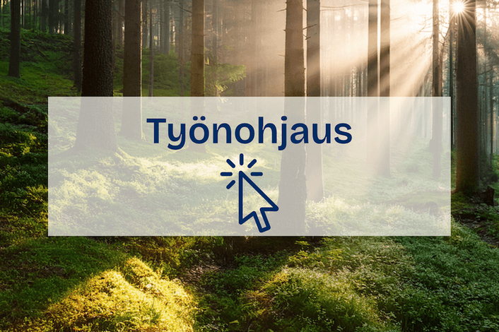 Työnohjaus – siirry työnohjauspalvelun sivulle