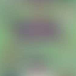 Join the Adults at Beth Rishon for a fun evening celebrating Purim!