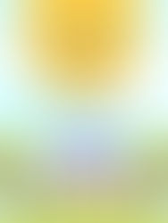 Save the Date for Shabbat Kulanu in May!