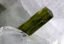 109-680-14 Epidote - Vallon de Clausis (Hautes Alpes - France) - FOV 4.77 mm.jpg