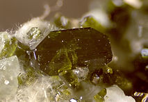 109-1102-04 Epidote - Vallon de Clausis (Hautes Alpes - France) - FOV 2.85 mm.jpg