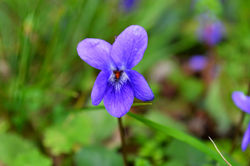 Picasa - DSC_0061.jpg