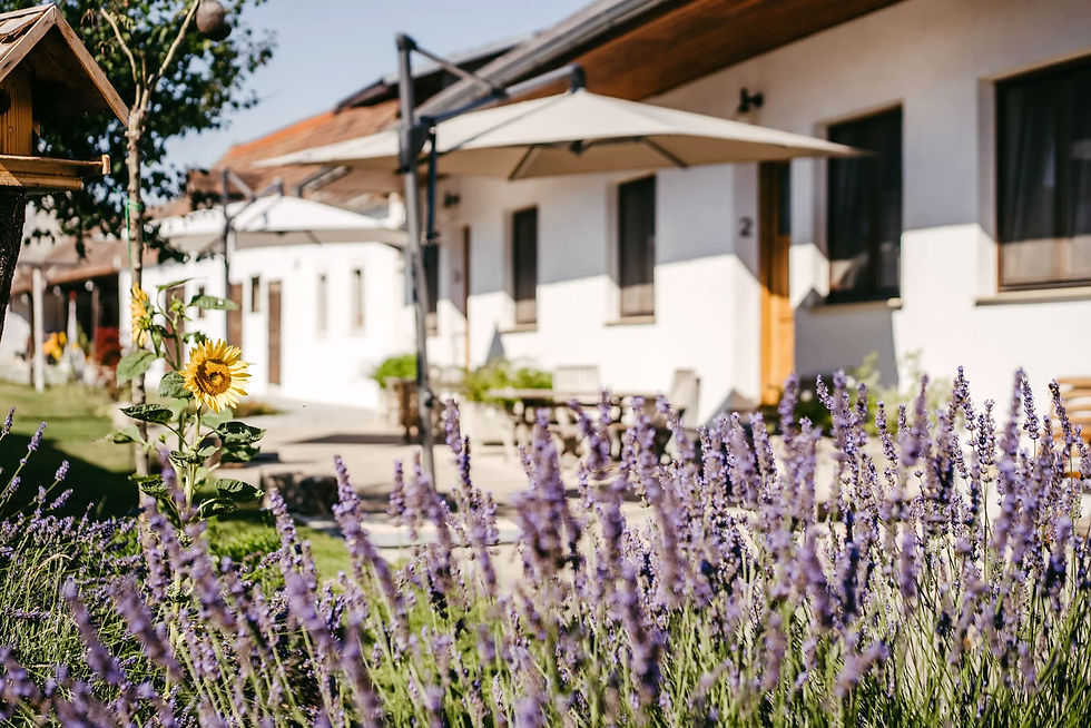 Ferienwohnung_Purbach_035©Burgenland Tourismus_Tommi Schmid_edited.jpg