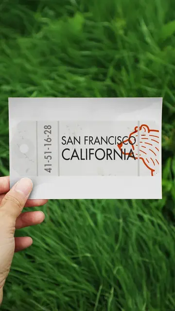 Most Best Way Back | Postcard Set