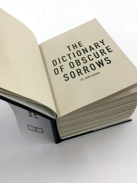 The Dictionary of Obscure Sorrows