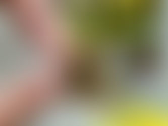 un bourdon se repose sur le bout de deux doigts féminins. Derrière eux, une fenêtre avec des fleurs jaunes.