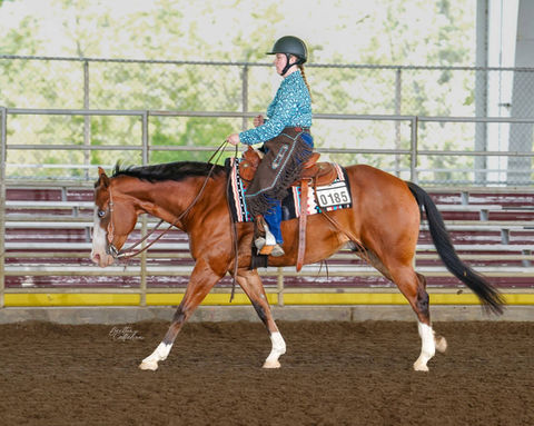 Great Returns Stables Ranch Horse Pleasure Lessons in Evansville, Indiana