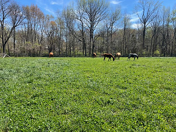 Great Returns Stables Horse Pasture and Fence in Evansville, Indiana