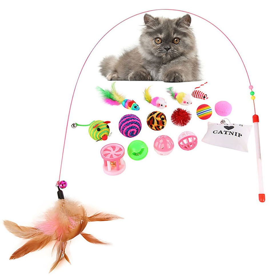 Миниатюра: Cat Toy Fun Bell Feather Mice Shape Pet Kitten Dog Cat Interactive Play Supplies