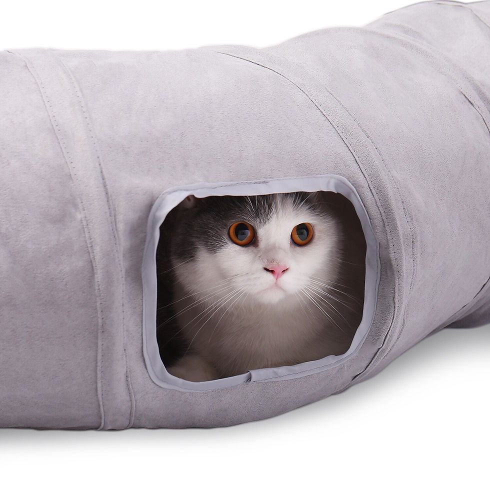 תמונה ממוזערת: Cat Tunnel 2 Holes Funny Kitten Animals Play Tunnel Tube Collapsible Training