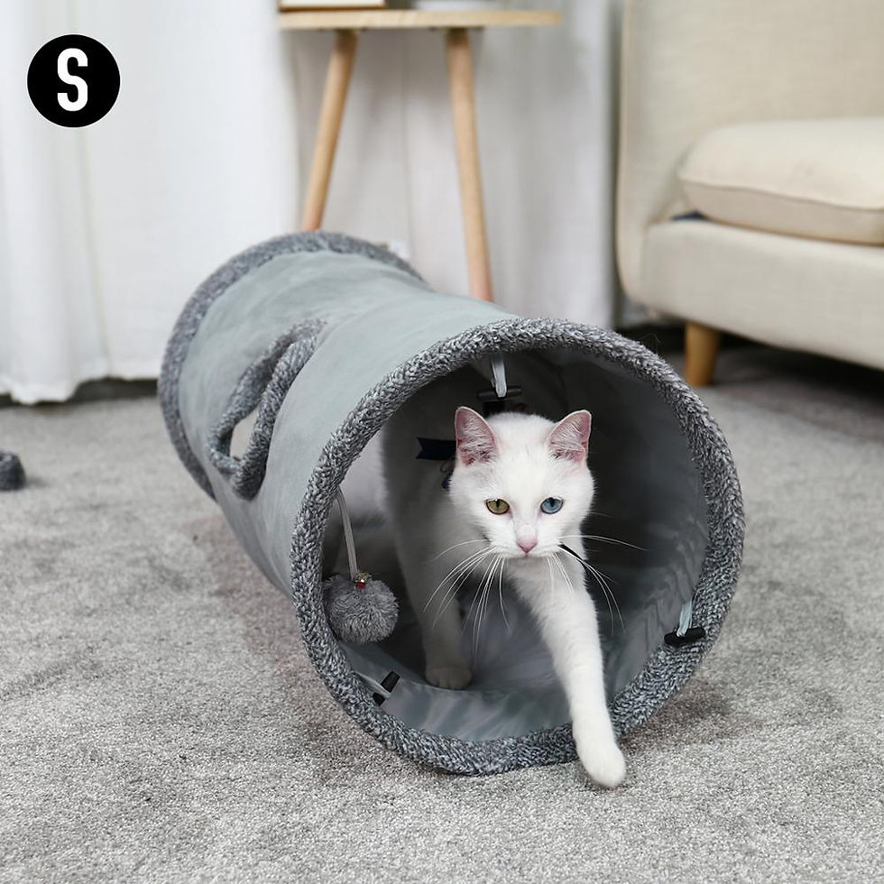 Миниатюра: Cat Tunnel 2 Holes Funny Kitten Animals Play Tunnel Tube Collapsible Training