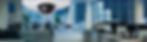 sur-banner.jpeg