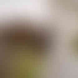 Bride and Groom with horse in a field - Mel Rose Bride