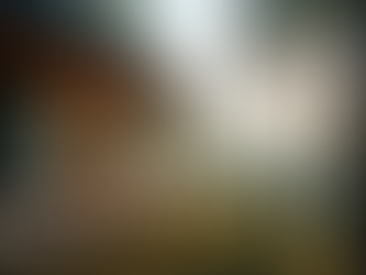 Comprehensive Guide to Architectural Services