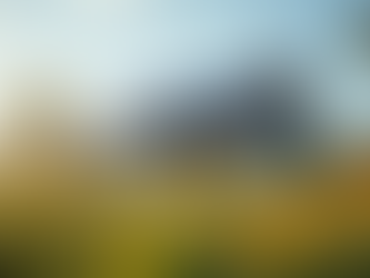 Exploring Sustainable Practices in Architecture