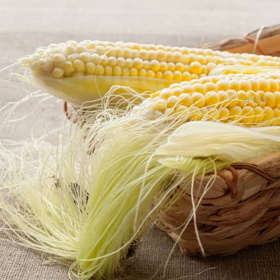 Corn Silk as one of the ingredients in medicinal food recipe of TCM home remedies and dietary therapy for high blood pressure.