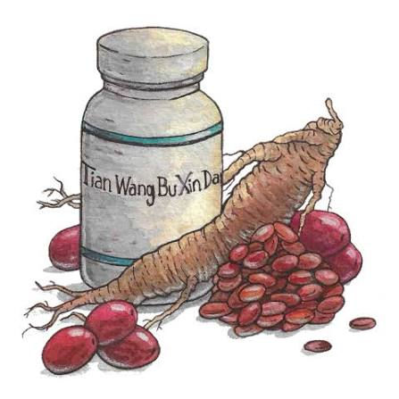 Tian Wang Bu Xin Dan Key herbs ingredients:
Rehmannia root - tonifies Kidney Yin and cools Blood.
Sour jujube seed - calms the Shen and is the single most important TCM herb for insomnia.
Arborvitae seed - nourishes Heart Blood and quiets the mind.
Polygala root - opens the Heart's orifices and settles the mind.
Red sage root - moves Blood gently and clears Heart heat.