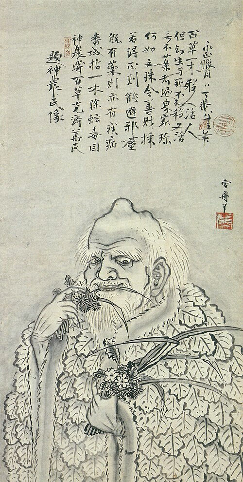 The farmer-god Shennong in a Japanese painting, chewing on herbs. Shennong_attributed_to_Sesshu_(Okayama_Prefectural_Museum_of_Art)