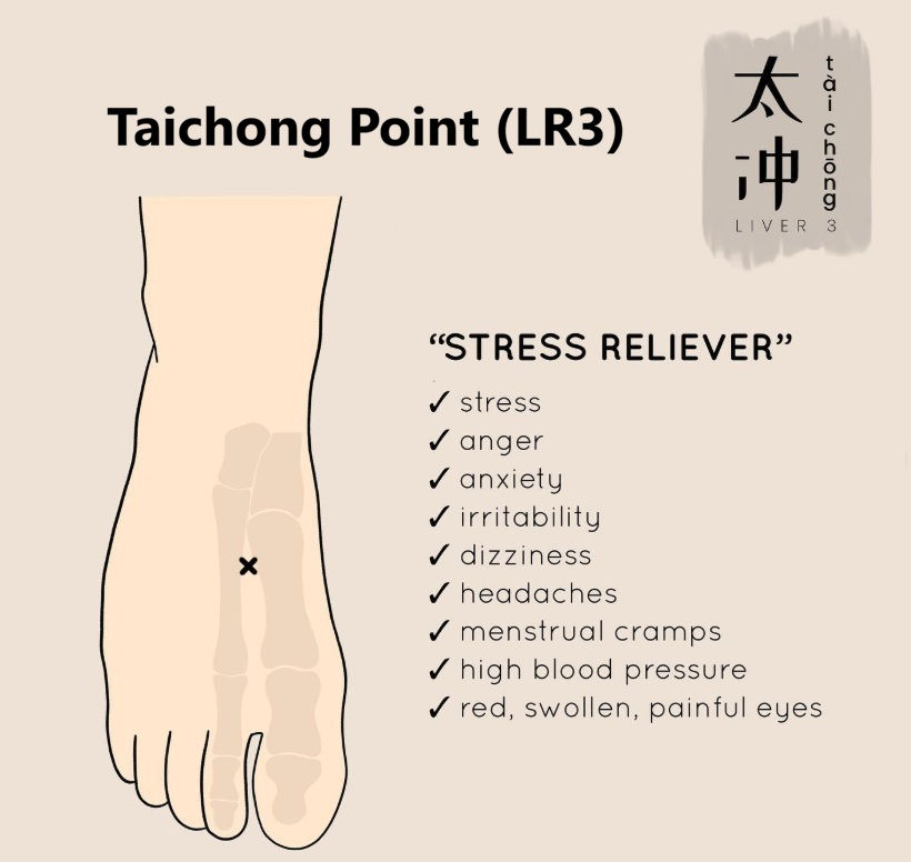 Taichong Point (LR3): An acupressure points for high blood pressure, stress, anger, anxiety, irritability, dizziness, headache, menstrual cramps, red/swollen/painful eyes.
