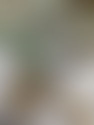 Fabric swatches in gray and beige with leafy branches and a paintbrush on a white surface. Botanical sketch visible at the bottom. Natural vibe.