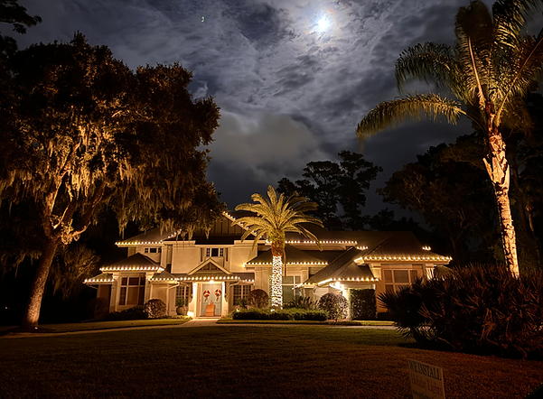 Luxury Christmas Lights