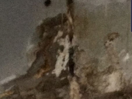 4 NĂM TRƯỚC & 4 NĂM SAU