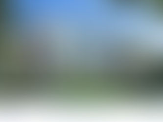 Lời tri ân từ INTOC