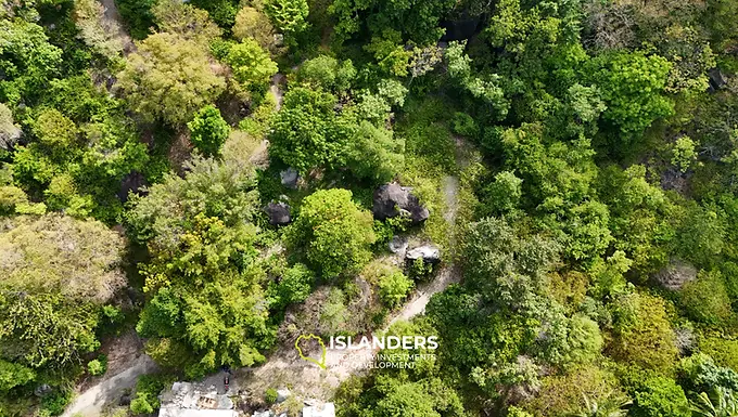 Sea view land for sale in Chalok Koh Tao Thailand featuring panoramic ocean views, tropical jungle surroundings, mountain scenery, mature trees, sunset hillside location, and private island investment opportunity.