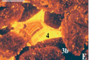 Thin section 3.png