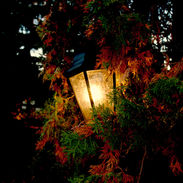 IMG_9740 Outdoor Light.jpg