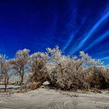 Obst Farm IMG_9640.jpg