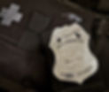HCPS Badge (1).jpg