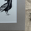 Thumbnail: Crow Print (Matted)