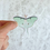 Thumbnail: Luna Moth Sticker