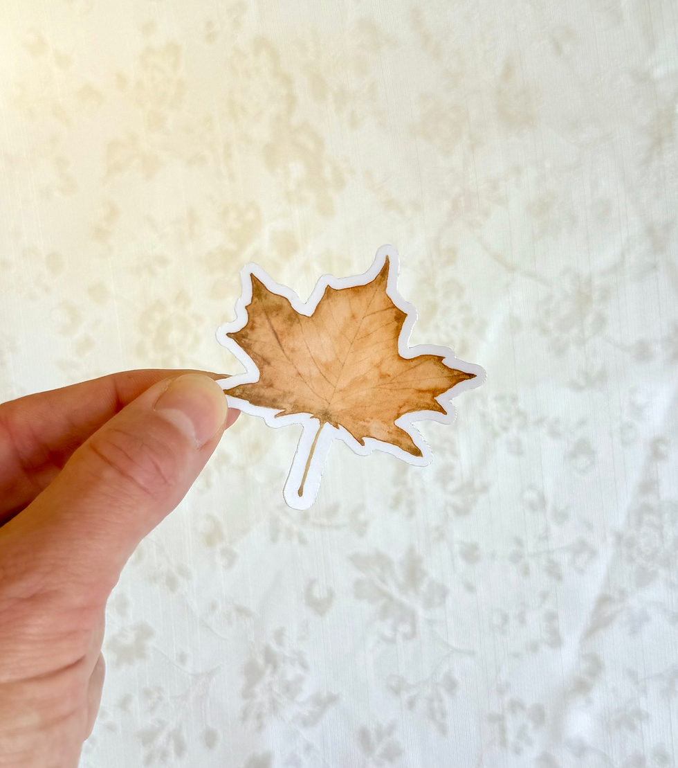 Maple Leaf Sticker