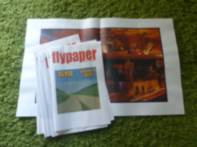 FLYPAPER 11