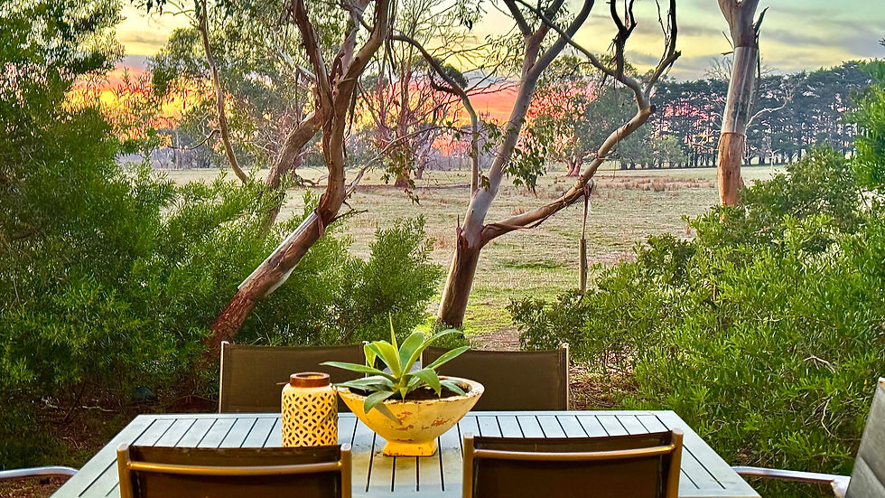 3BR back deck & farmland views