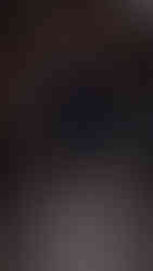 Tory Burch F/W 2024 Runway show at NYFW