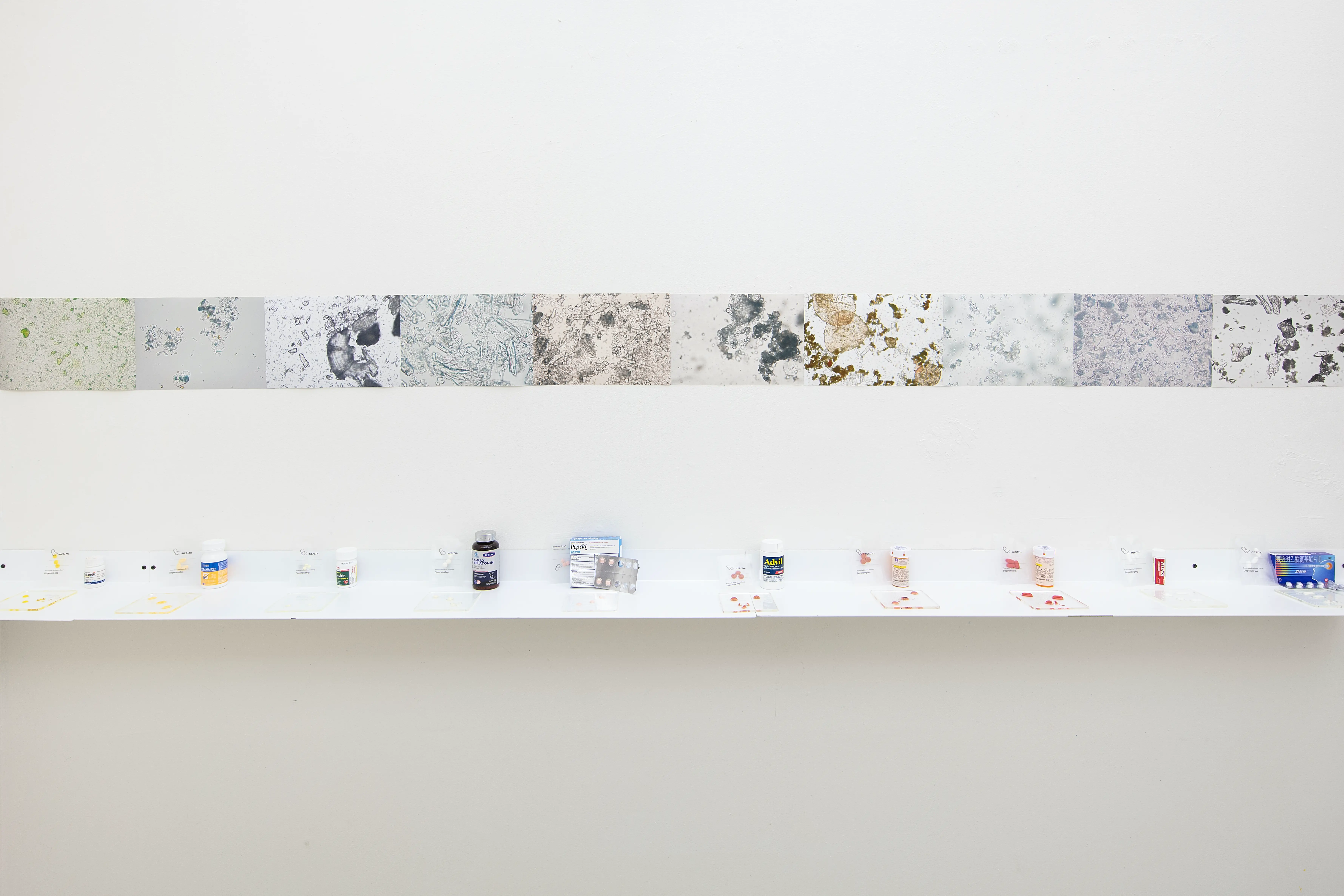Yuhanxiao Ma’s "Modest Witnesses"