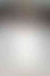 Carolina Herrera Fall/Winter 2024