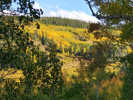 Accelerate Your Outdoor Brand's Success: Harnessing Innovation for a Competitive Edge