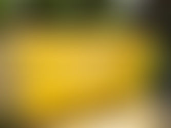 Tempat Sampah Fiberglass Persegi Panjang kapasitas 50L