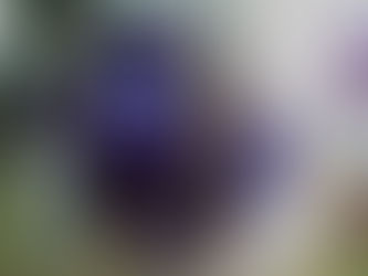 Jual Box Motor Delivery Fiberglass Type Batman