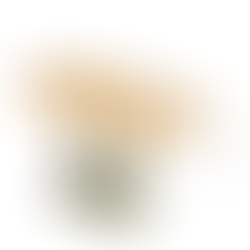 Meja Kayu Cafe 4 org