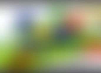 Jual Playground Softplay Taman Bermain Anak type OPG-026