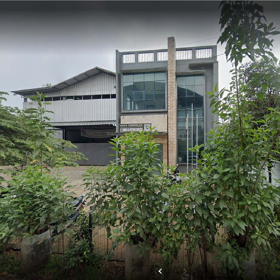 Workshop Endofiberglass